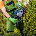 Water features: adding serenity to your landscape